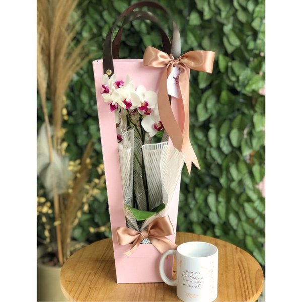 Presente com Orquídea e Caneca 