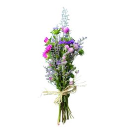 Imagem de Primor de Margaridas