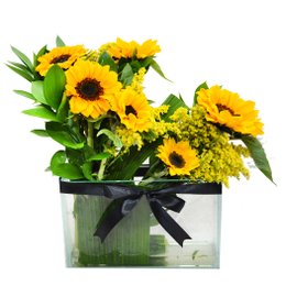 Imagem de Girassóis Arte Design