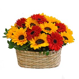 Imagem de Jardim Florido em Girassóis e Gérberas