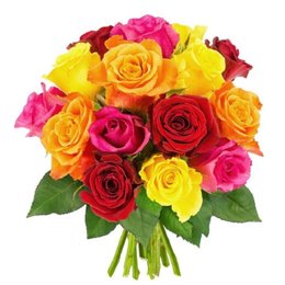 Imagem de Buquê 24 Rosas Coloridas