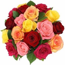 Imagem de Buquê Especial 18 Rosas Coloridas