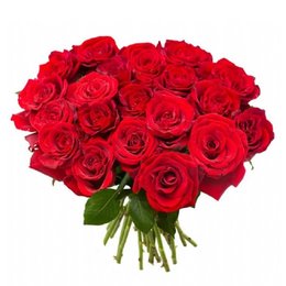 Imagem de Buquê Duas Dúzias de Rosas Vermelhas