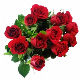 Imagem de Buquê Poema de Amor