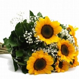 Imagem de Buquê Lindos Seis Girassóis
