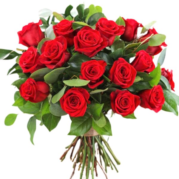 15 Rosas Colombianas Vermelhas
