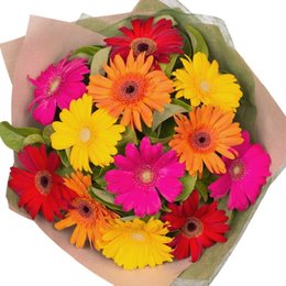 Imagem de Buquê Luxuosas 15 Gérberas