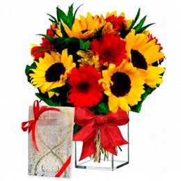 Imagem de Aquário Jardim Florido e Bombons 