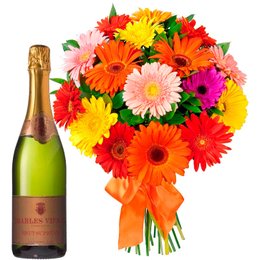 Imagem de Buquê Luxuosas Gérberas e Chandon Brut, 750ml 