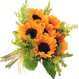 Imagem de Buquê Magnifique Girassóis