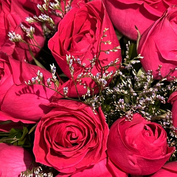 Box Harmonia em Rosas