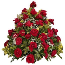 Imagem de Ikebana Premium de Rosas Vermelhas