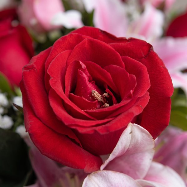 Vaso de Rosas e Lírios