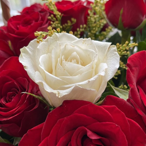 Cesta de 29 Rosas Vermelhas e 1 Rosa Branca