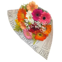 Imagem de Notícias de Gérberas