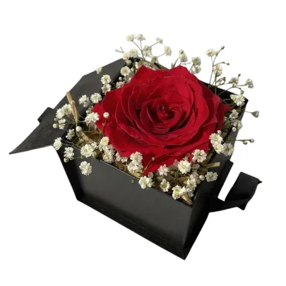 Mini Box com Rosa Colombiana