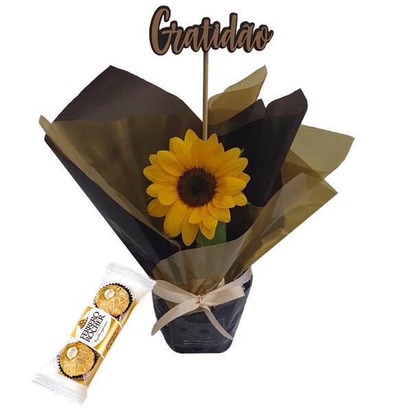 Girassol Gratidão e Luz