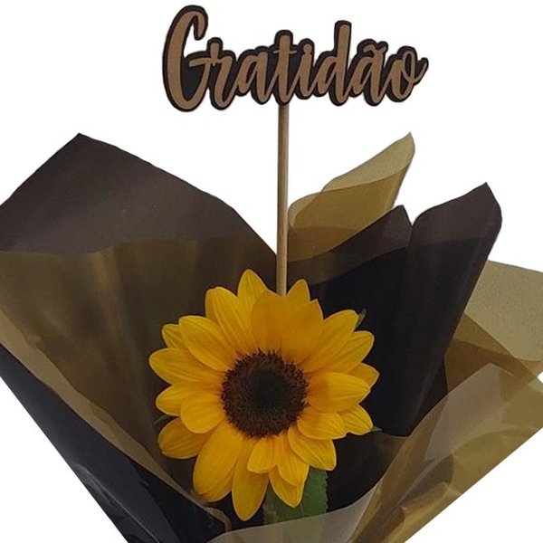 Girassol Gratidão e Luz