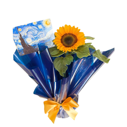 Imagem de Girassol Estrelado