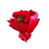 Begonia Vermelha Energia e Cor