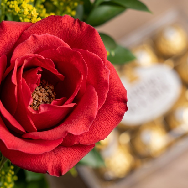 Rosa para Presente com Ferrero