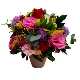 Imagem de Jardim de Março