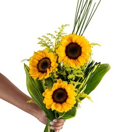 Imagem de Buquê de Girassóis 