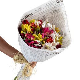 Imagem de Buquê  de Astromélias 