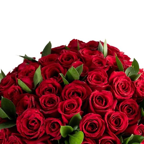 Buquê  de 50 rosas