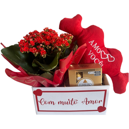 Imagem de Caixa Box Amo Você 