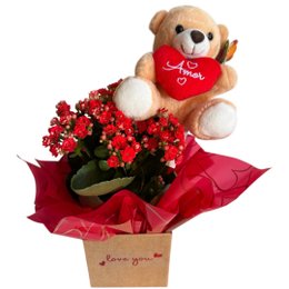 Imagem de Box Flowers com Pelúcia 
