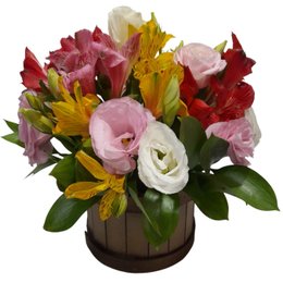 Imagem de Arranjo de Astromélias e Lisianthus  Lindo Dia