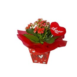 Imagem de Love Me Tender