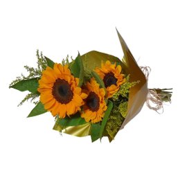 Imagem de Leque de Girassóis
