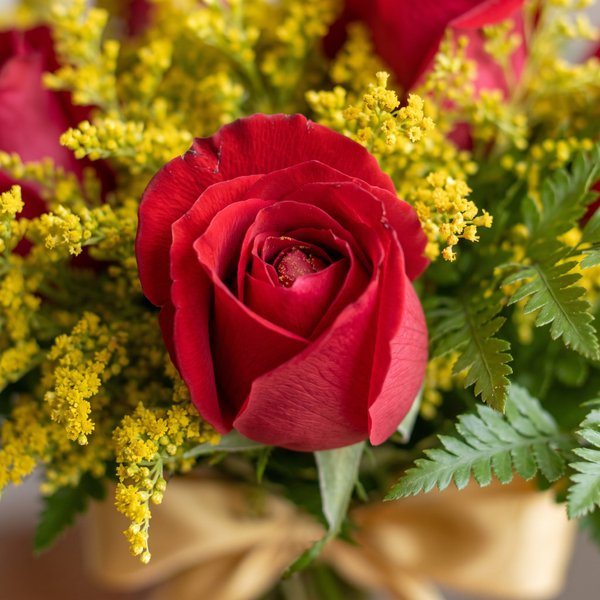Buquê de 6 Rosas Vermelhas