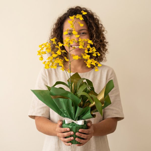Orquídea Chuva de Ouro