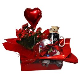 Imagem de Cesta Kalanchoe Carinhoso