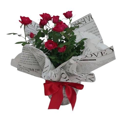 Mini Roseira Vermelhas