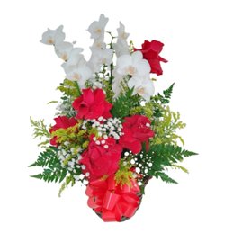 Imagem de Orquídea com Rosas Vermelhas 
