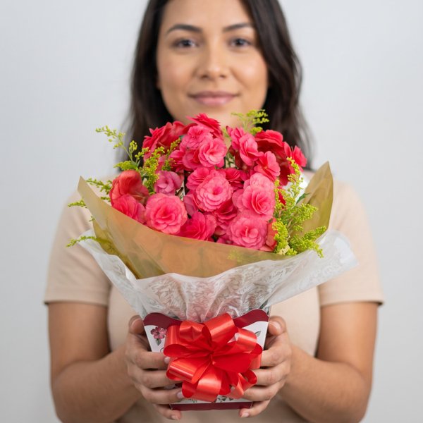 Begônia Rosa 