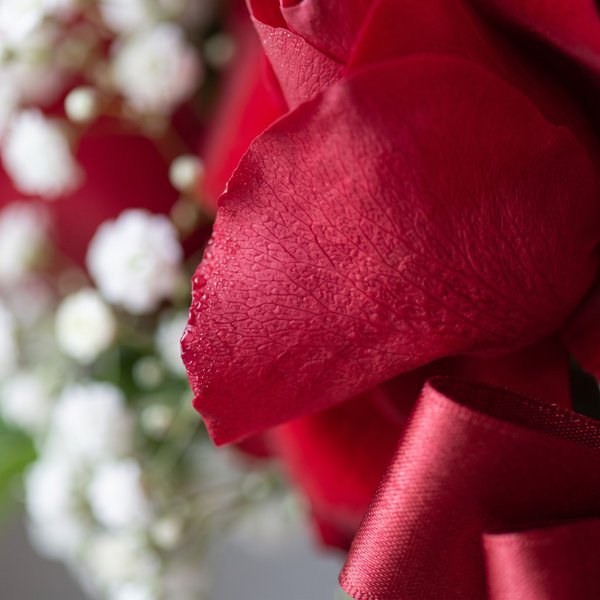 Buquê 12 Rosas Vermelhas Especiais 