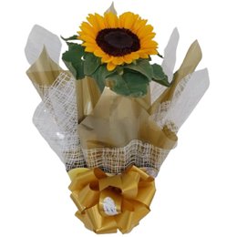 Imagem de Vaso de Girassol 