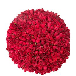 Imagem de Bouquet 500 Rosas Vermelhas 