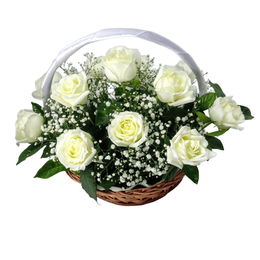 Imagem de Cesta Rosas Brancas com Mosquitinhos