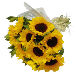 Imagem de Buquê 12 Girassóis