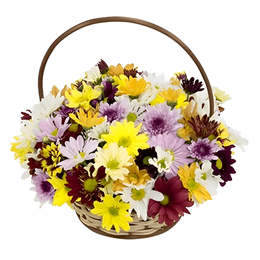 Imagem de Cesta De Flores Do Campo Coloridas