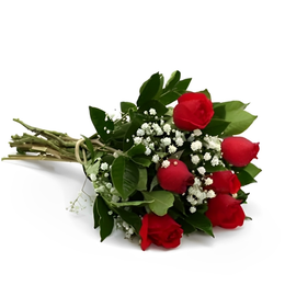 Imagem de Buquê 6 Rosas Com Gipsofila