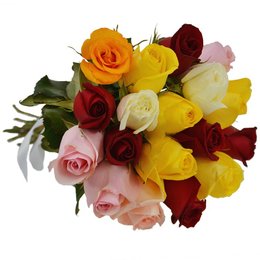 Imagem de Buquê 18 Rosas Coloridas 