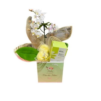 Kit Orquídea e Sabonetes  Feliz Dia das Mães
