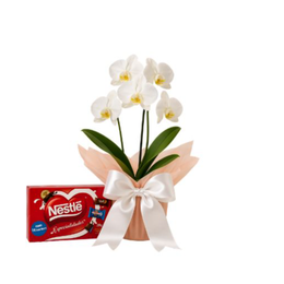 Imagem de Bela Orquídea Branca com Chocolate